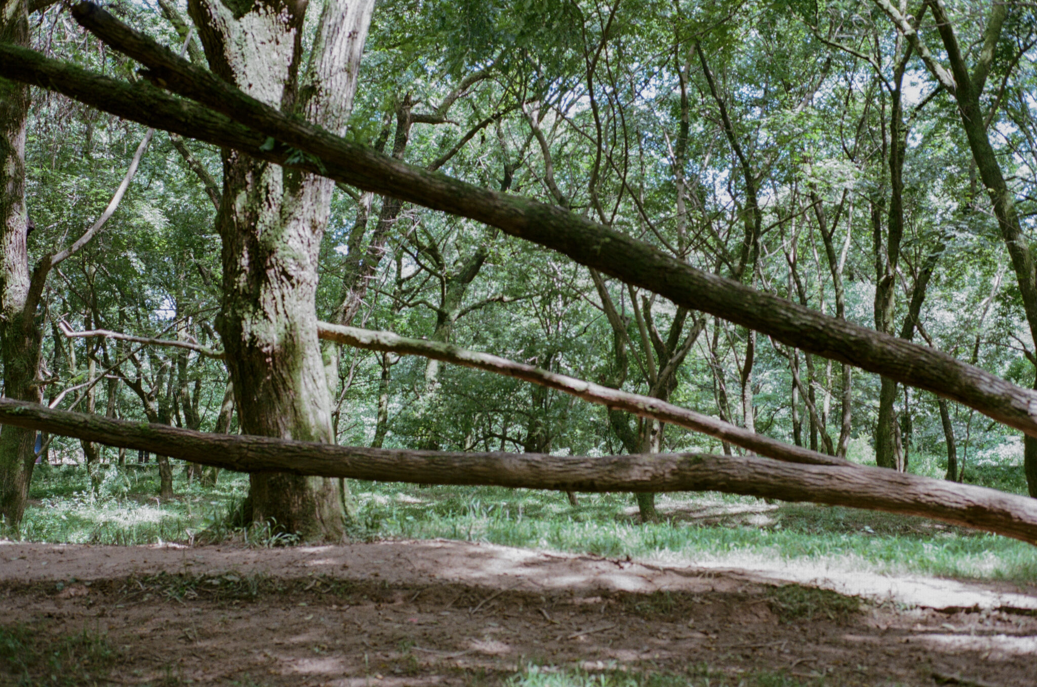 22ec81ece4218c1dee820002ee5ad42