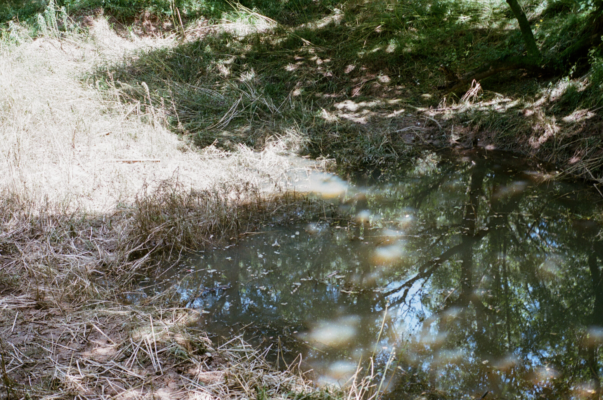 40d3d3d9f3fcb1c81e555557c9ceb4f