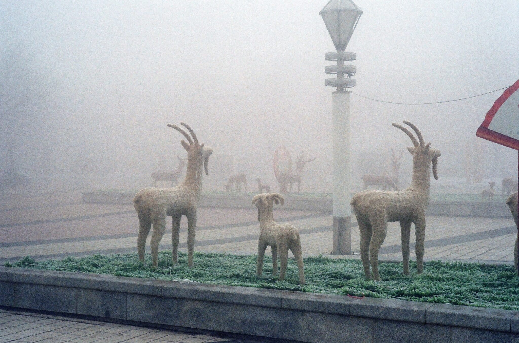 98a45c1cce929fb91660f4e8cd10f8d