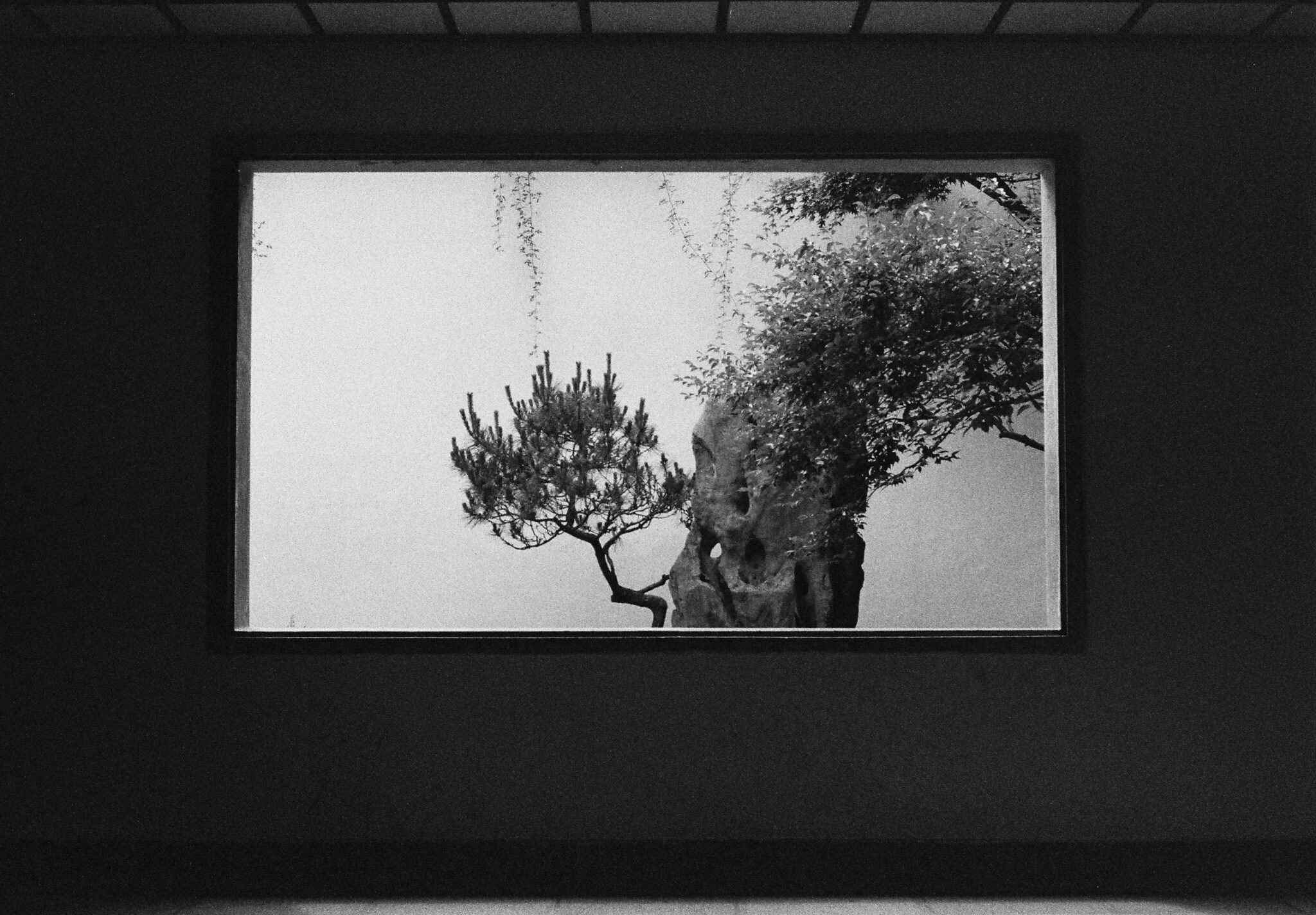 bbc4350833227ed875ec8de30104c24