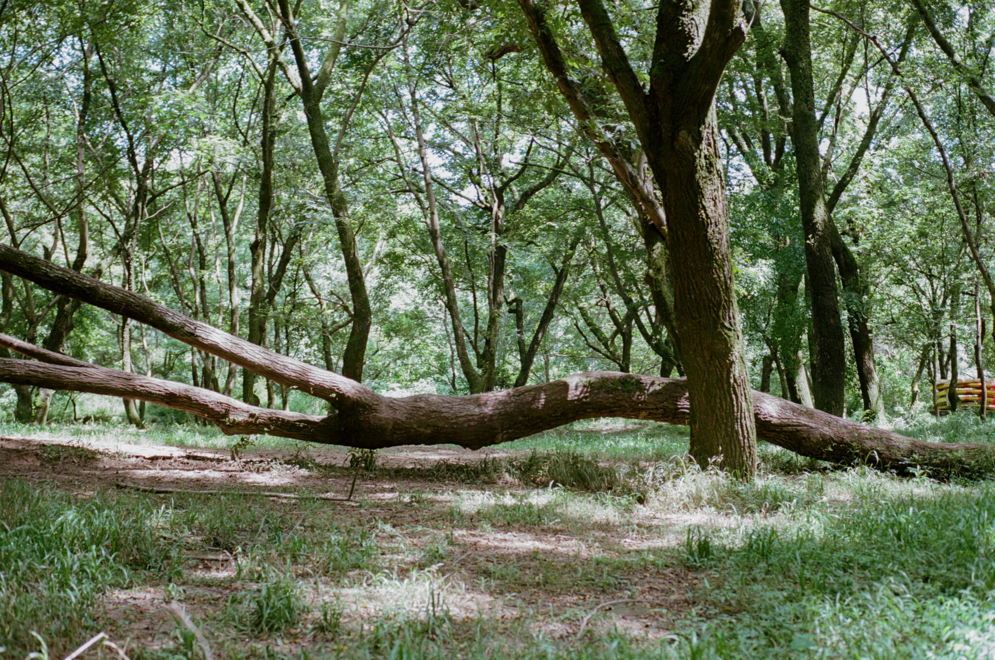 cd47c2a673b0625461dfc7bbbfbf320