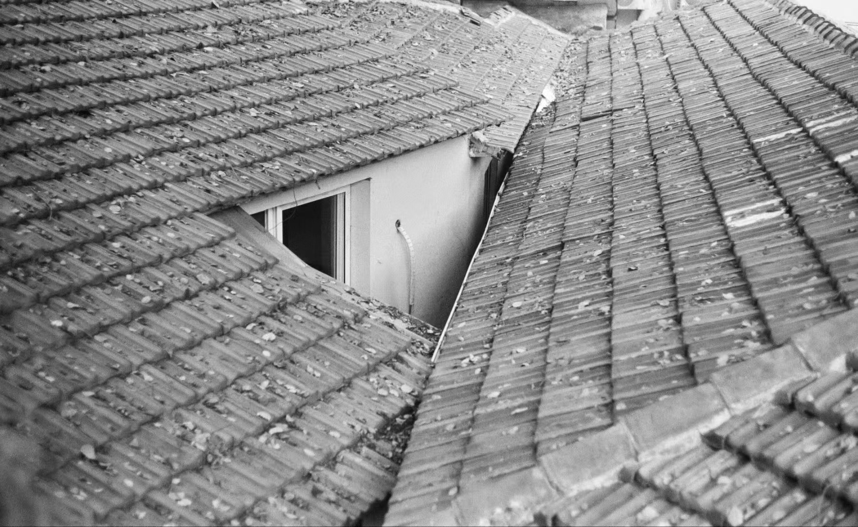 d55356566b49b857bc2eaa9cad2c53f