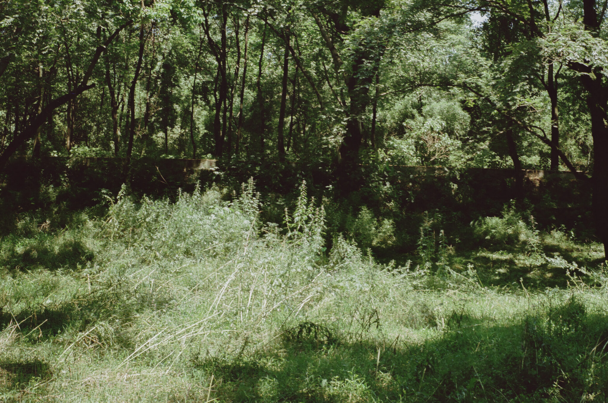 e944608dabb05b7ef0a724eb4b859ca