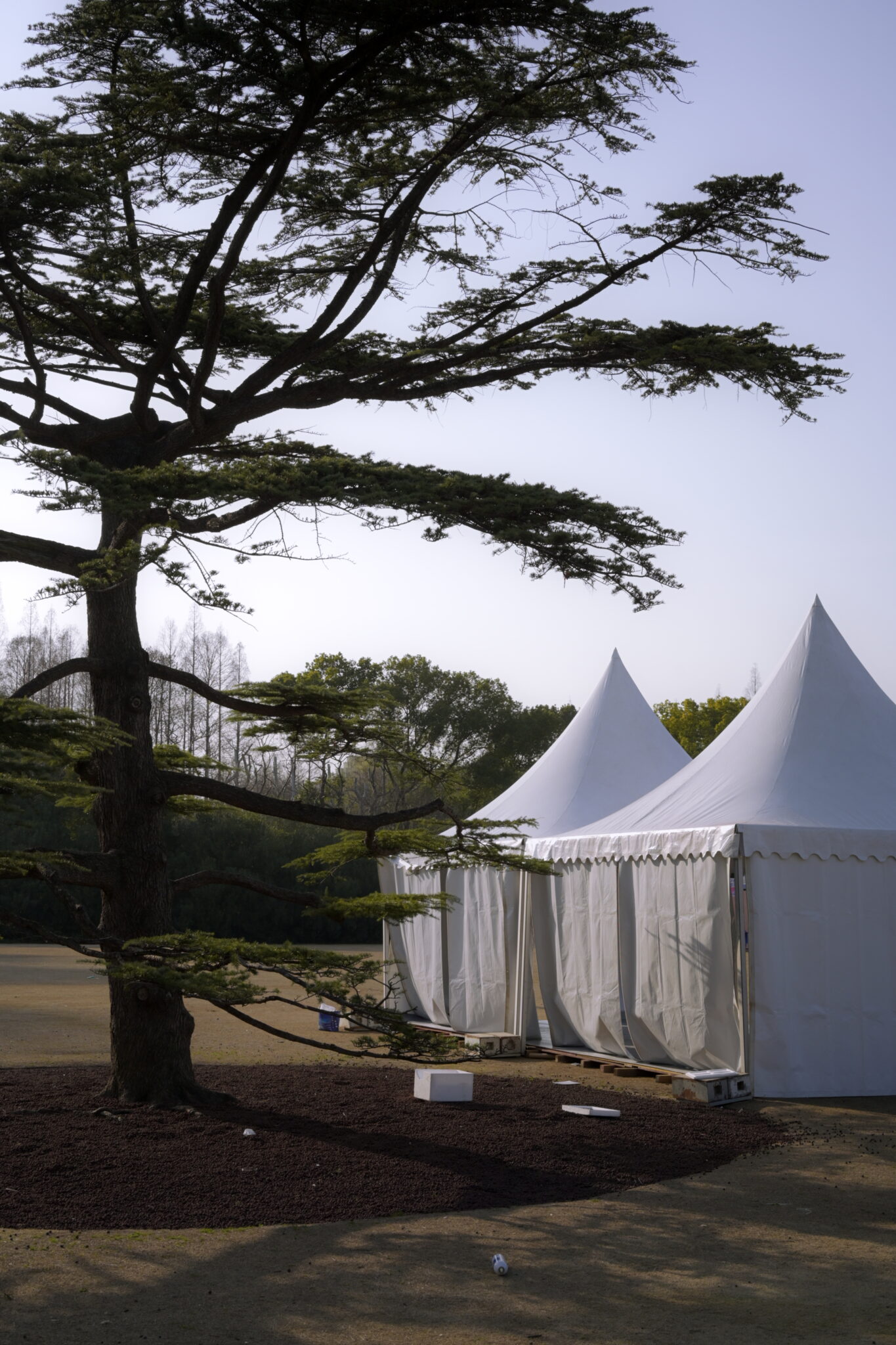 06a03451bf34d84d23cfe14f446263ee