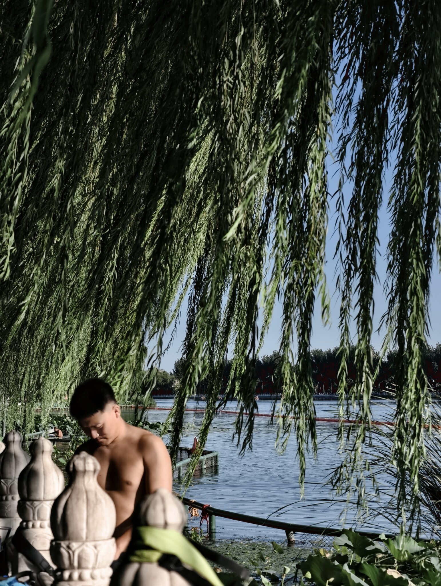 北京后海公园/手机