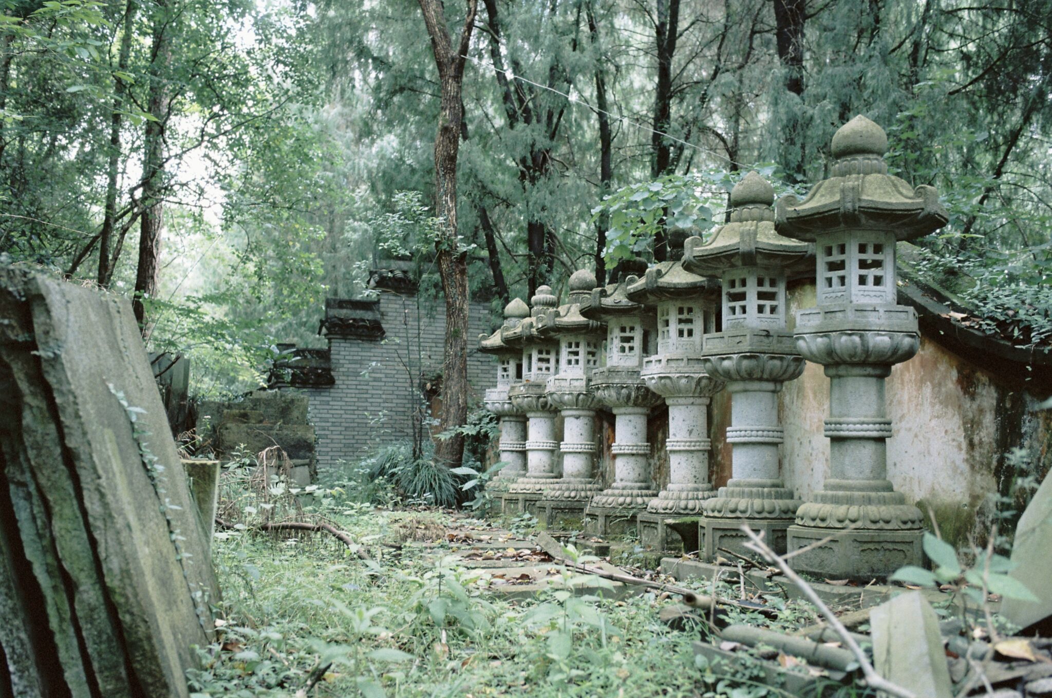 微信图片_20260304154804