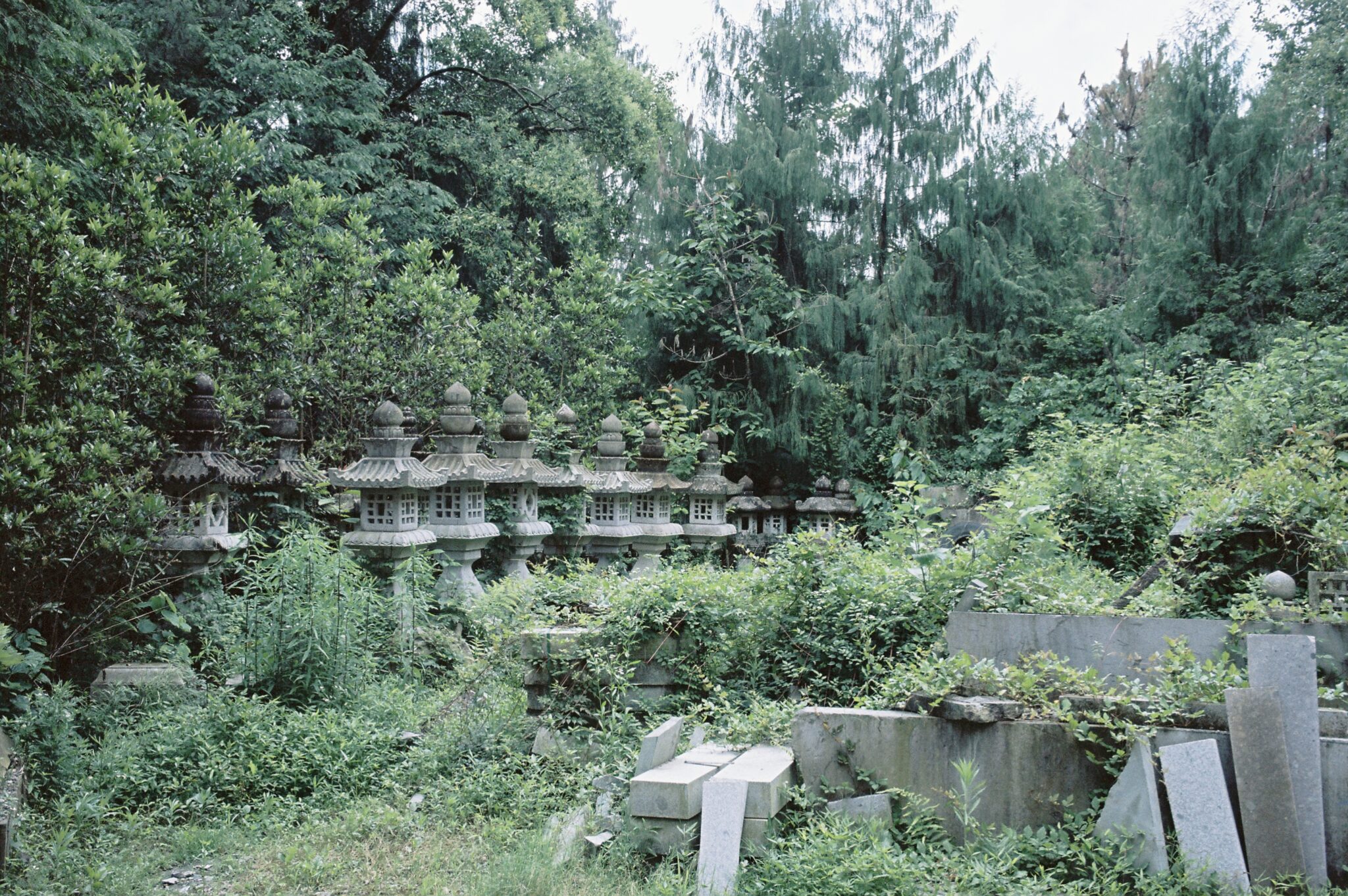 微信图片_20260304154810